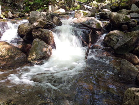 a waterfall in the forestの写真素材