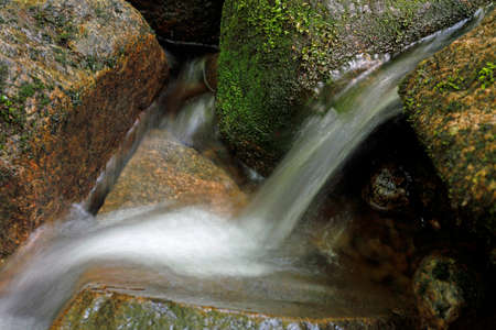 a waterfall in the forestの写真素材