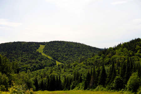 view of a mountain in summerの写真素材