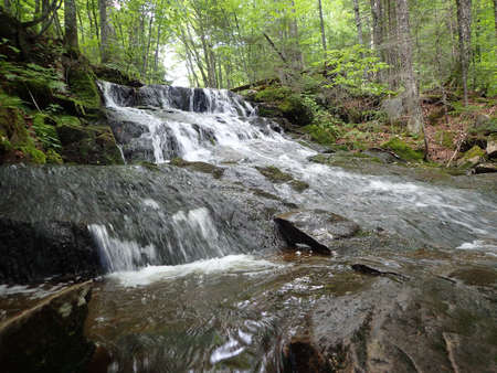 A waterfall in the forestの写真素材