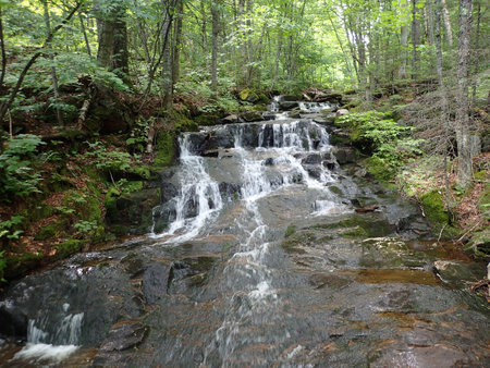 A waterfall in the forestの写真素材