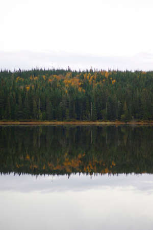 a lake in the forest in autumnの写真素材