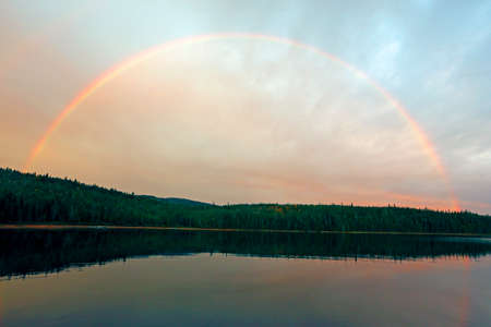 a rainbow over the lake in the forestの写真素材