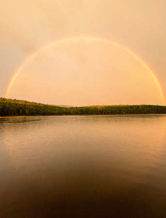 a rainbow over the lake in the forestの写真素材