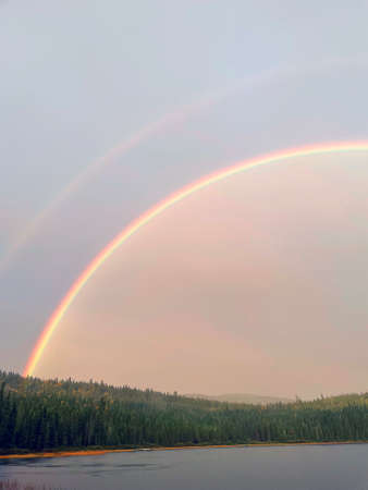 a rainbow over the lake in the forestの写真素材
