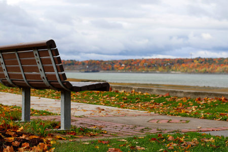 a park bench in front of the St. Lawrence River in LÃ©vis