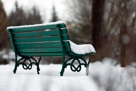 a park bench in winterの写真素材