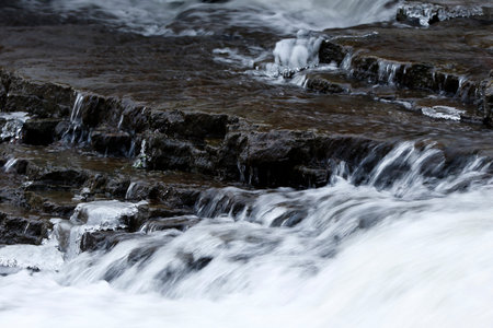 a river in the forest in winter