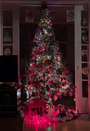 a christmas tree in an apartmentのeditorial素材