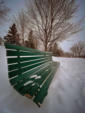 a park bench in winterの写真素材