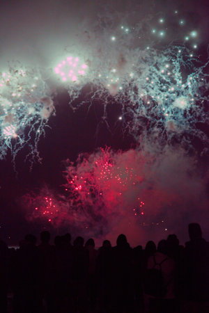 Fireworks in the dark night