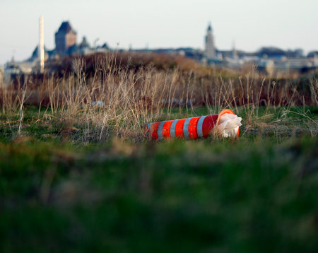 A dorange cone on the grass in the city. Quebec city.の写真素材