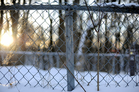 Fence with chain link fence in the winter forest. Winter landscape.