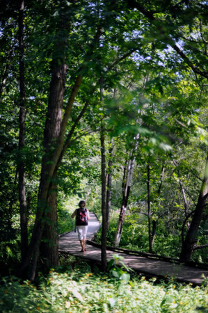 Woman walking on a wooden path in the forest. Back view.