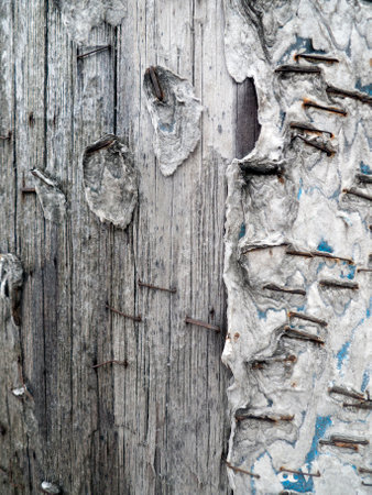 detail of an old pole with pins in the streetの写真素材