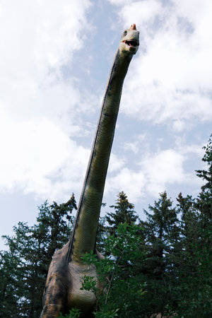 Dinosaur in the park, close-up of a dinosaur headの写真素材