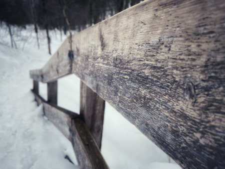 Wooden fence in the forest in winter. Selective focus.の写真素材