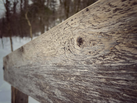 Wooden fence in winter forest. Close-up. Selective focus.の写真素材