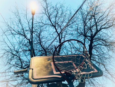 Basketball hoop in the city park with bare trees and sunlight.の写真素材