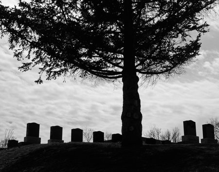 Black and white photography of an old cemetery with a tree in the foregroundの写真素材