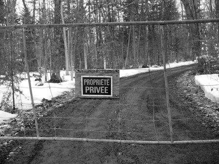 Warning sign on the road in winter forest. Black and white photo.の写真素材