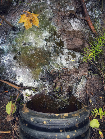 Sewer spill in the forest. Soil pollution