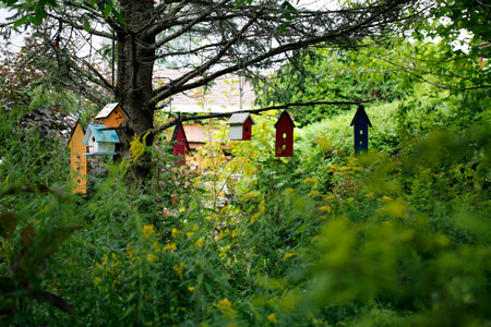 Colorful birdhouses hanging on a tree in the summer garden.の写真素材