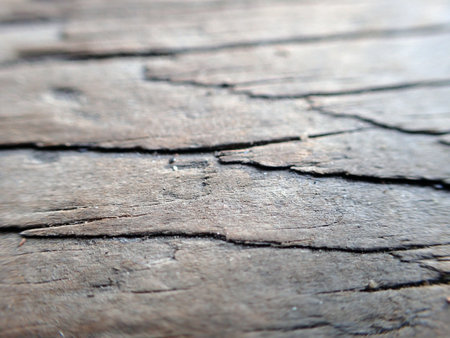 Old wood texture background. Floor surface with old wood texture background.の写真素材