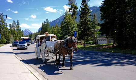 Horse-drawn carriage on the road in Banff, Canada
