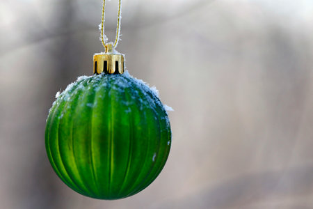 Green Christmas ball with snow and icicles hanging on a tree branchの写真素材
