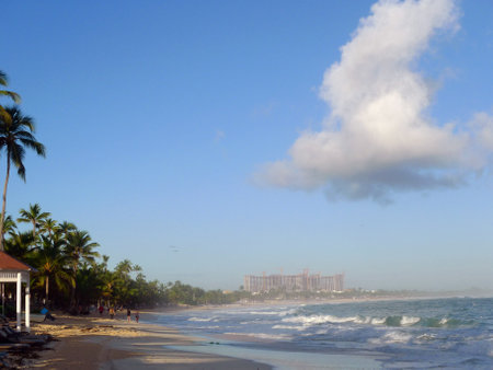 Tropical beach with palm trees, blue sky and white cloudsの写真素材