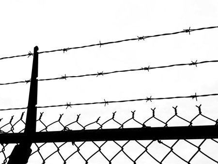 Barbed wire fence, black and white image of barbed wire