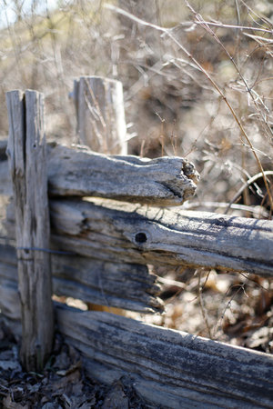 Old wooden fence in the spring steppe. Close-up.の写真素材