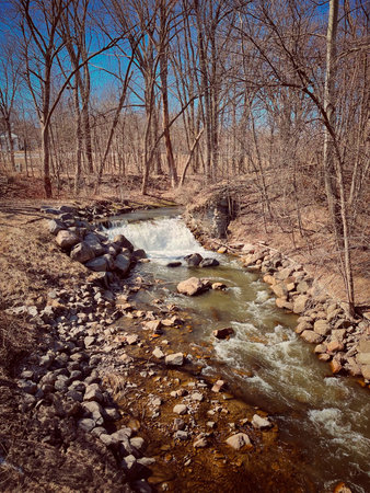 Stream in the forest. Spring scene. Spring landscape. Spring scene