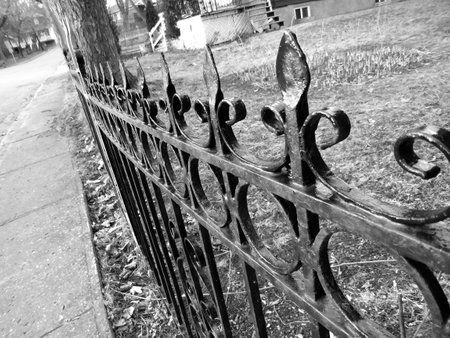 Black and white photo of a wrought iron fence in a park.の写真素材