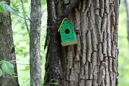 Birdhouse on a tree in the forest. Bird feeder.の写真素材