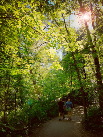 A couple walks down a path in the forestの写真素材