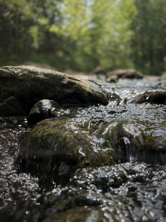 A river with rocks in the forest