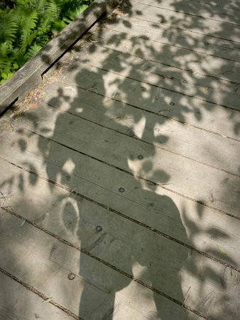 Shadow of a man on a wooden walkway in the garden.