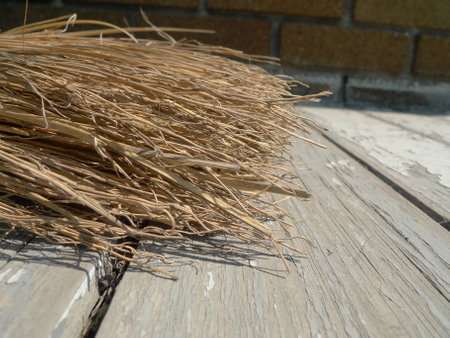 Detail of a straw broom on the wooden floor.の写真素材