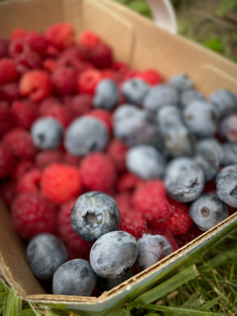 Fresh raspberries and blueberries in a basket on the grassの写真素材
