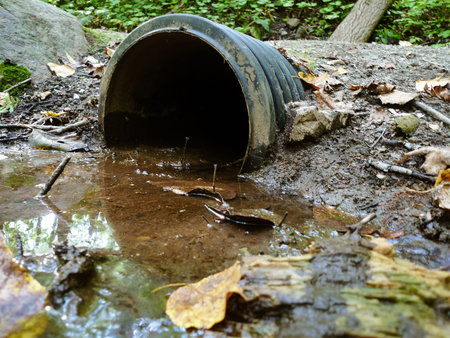 Abandoned water pipe in the forest, closeup of photo