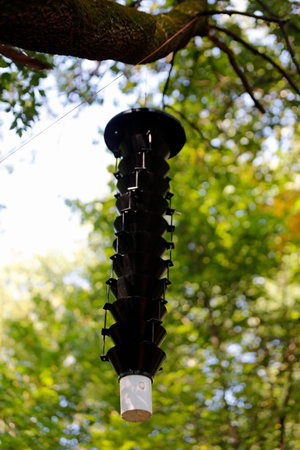 A trap to catch unwanted insects hanging from a tree in the forest. Selective focus.