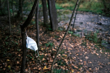 Mask hangs on a tree in the middle of the forest