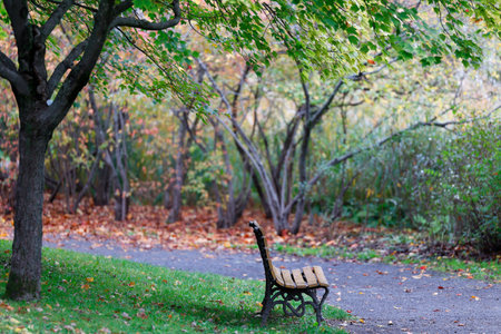 Bench in the autumn park. Selective focus on the bench.
