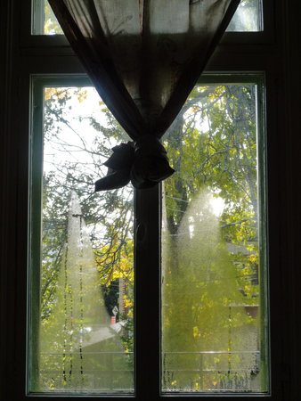 Humidity on the window, view from outside