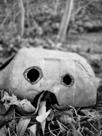 Garbage in the forest, waste, ecology, environmental protection.の写真素材
