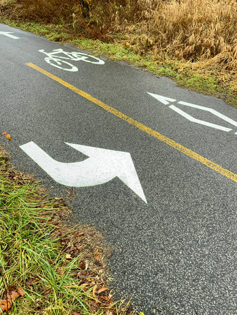 Bicycle lane sign on the asphalt road in autumn forest. Concept of active lifestyle