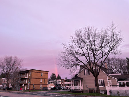 Sunset in the town with pink and purple colors and silhouettes of treesのeditorial素材