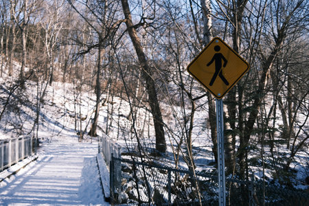 Pedestrian crossing sign on a snowy road in the forest.の写真素材